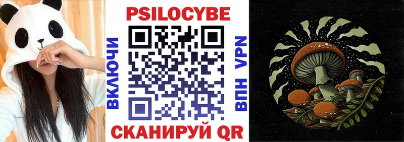 купить наркоту  Ачинск  Галлюциногенные грибы Psilocybe 