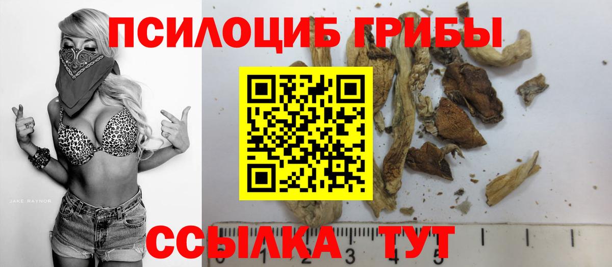 Галлюциногенные грибы GOLDEN TEACHER Ачинск